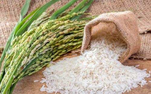 چگونه برنج مرغوب را تشخیص دهیم؟