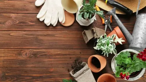 راهنمای خرید ابزارهای باغبانی