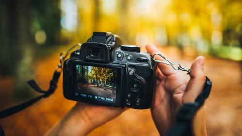 چگونه اولین دوربین DSLR را انتخاب کنید: راهنمای خرید برای مبتدیان